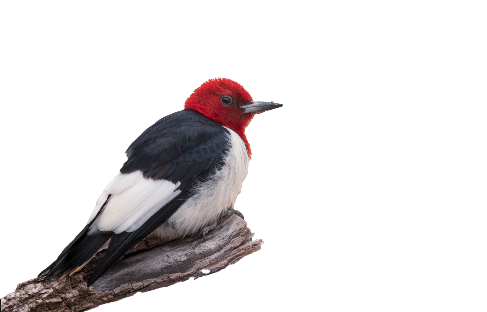 Screen Shot 2022 09 02 At 11.20.38 Am