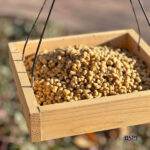 Ec Ccranberryplatform