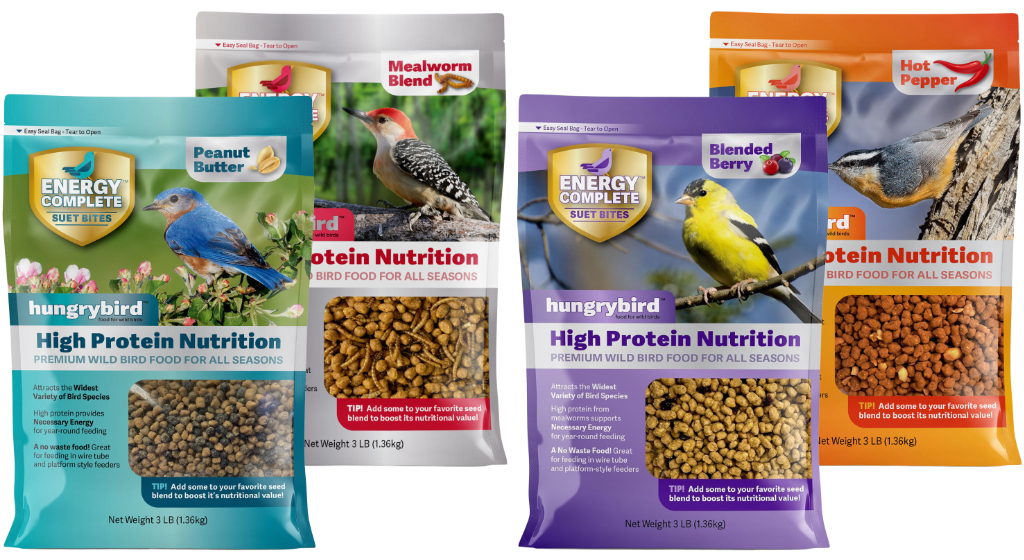 Hungrybird Energy Complete Suet Bites Bars All Flavors