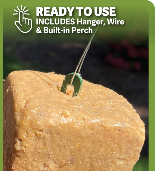 Hungrybird Rtu Suet Bars Naturall