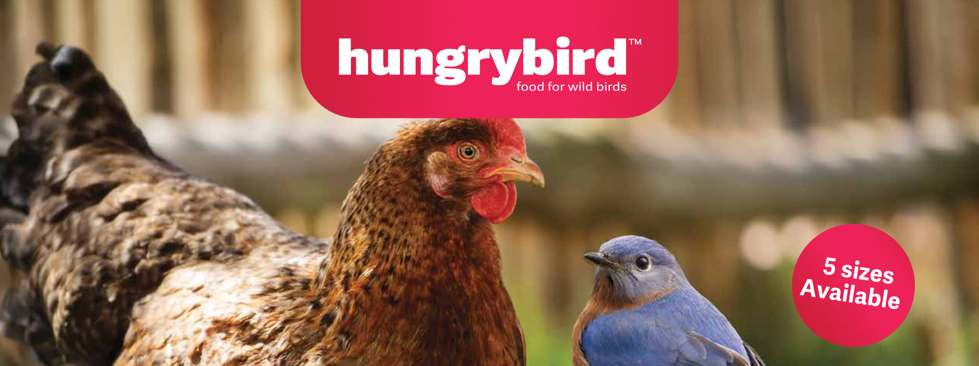 Hungrybird Poultry Banner Dried Mealworms 2